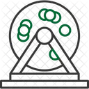 Bingo  Icon