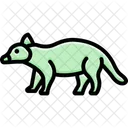Binturong  Icon
