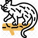 Binturong Civet Animal Icon
