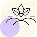 Bio Felder Symbol