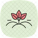 Bio Felder Bio Felder Symbol