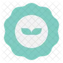 Organic Natural Eco Icon