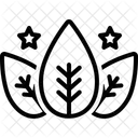 Organisch Naturlich Grun Symbol