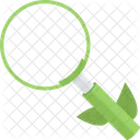Organisch Suche SEO Symbol