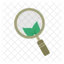 Organisch Suche Google Symbol