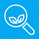 Organisch Suche Google Symbol