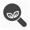 Organisch Suche Google Symbol