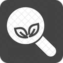 Organisch Suche Google Symbol