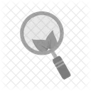 Organisch Suche Google Symbol