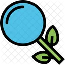 Organisch Suche SEO Symbol