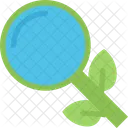 Organisch Suche Analyse Symbol