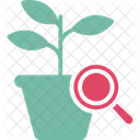Bio Research Bio Technology Botanical Research Icon