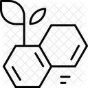 Biotech Science Dna Icône