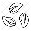  Icône