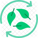 Biodegradable Ecology Renewable Icon