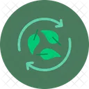 Biodegradable  Icon