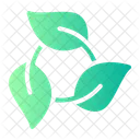Biodegradable  Icon