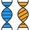 Bioengenharia Cromossomo Comparacao Ícone