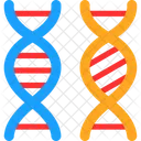 Bioengenharia Cromossomo Comparacao Ícone