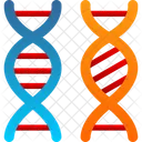 Bioengenharia Cromossomo Comparacao Ícone