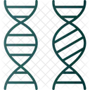 Bioengenharia Cromossomo Comparacao Ícone