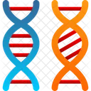 Bioengineering Chromosome Comparation Icon