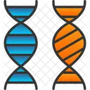 Bioengineering Chromosome Comparation Icon