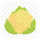 Fresh Food Green Icon