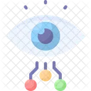 Biographical Data  Icon