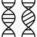 Bioingenieria Cromosoma Comparacion Icono