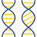 Bioingenieria Cromosoma Comparacion Icono