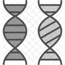 Bioingenieria Cromosoma Comparacion Icono