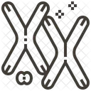 Biologia Quimica Cromossomo Ícone