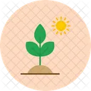 Planta de biología  Icono