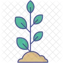 Biological Plant Botany Plant Icon