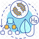 Biological Processes For Hydrogen Icon