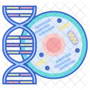 Biology Dnagene Genetic Cell Icon