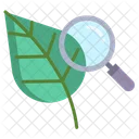 Biology Bioresearch Leaf Icon