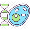 Biology Cell Dna Icon