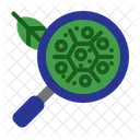 Magnifying Glass Plant Leaf Icon