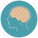 Biology Brain Human Icon
