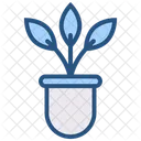 Biology botany  Icon