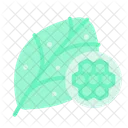 Biology DNA  Icon