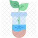 Biology Sprout Test Tube Icon