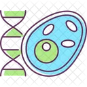 Biology Cell Dna アイコン