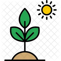 Biology Plant  Icon