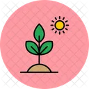 Biology Plant  Icon
