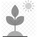 Biology Plant  Icon