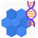 Biomaterial Biochemistry Dna Icon