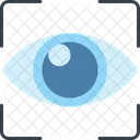 Biometric Eye Observe Icon